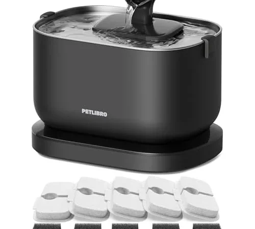 Best Cat Water Fountain 2026: 5 Picks by Type