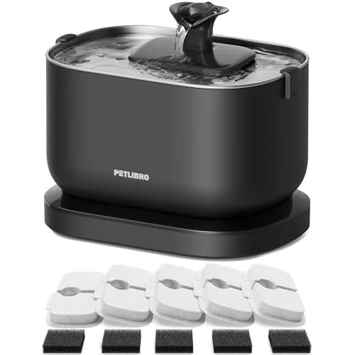 Best Cat Water Fountain 2026: 5 Picks by Type