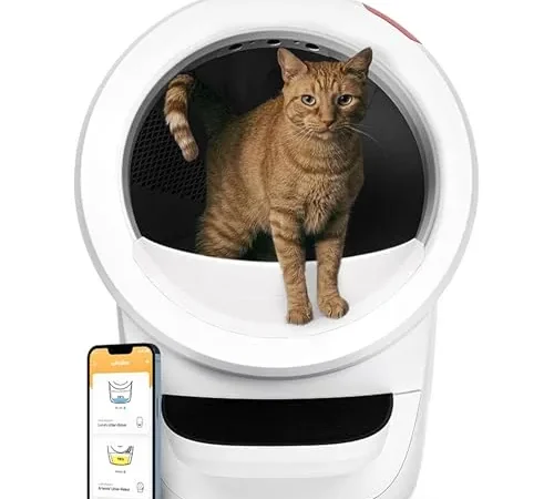 PETKIT vs Litter-Robot: Which Self-Cleaning Litter Box Should You Buy?