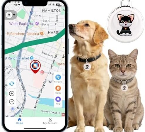 Best GPS Tracker for Small Dogs 2026