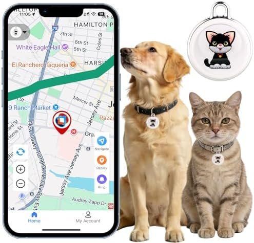 Best GPS Tracker for Small Dogs