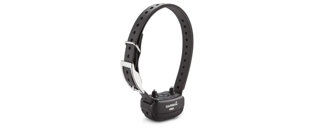 Best Bark Collar (2026): 8 Bark Collars Compared, Including No-Shock