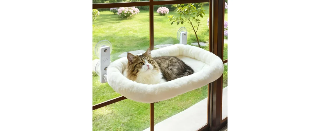 Best Cat Window Perch (2026): 8 Suction-Cup, Sill and Heated Picks