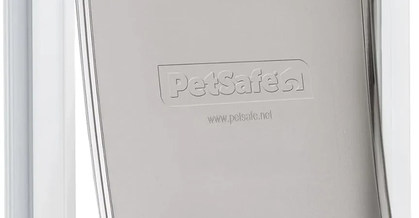 Best Dog Door (2026): 8 Picks for Doors, Walls, Sliders and Screens