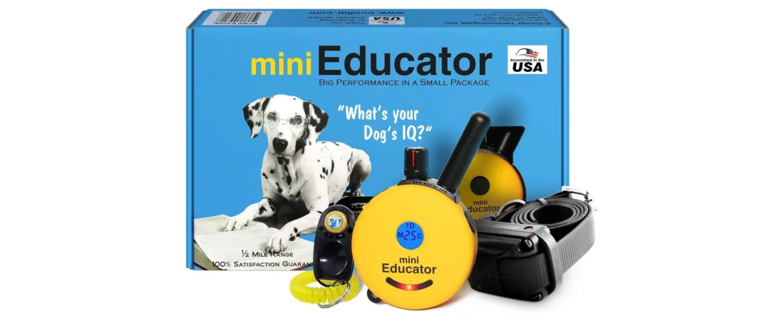 Best Dog Training Collar (2026): 8 E-Collars With Remote Compared