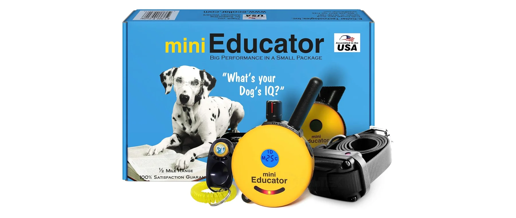 Best Dog Training Collar (2026): 8 E-Collars With Remote Compared