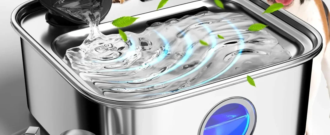 Best Dog Water Fountain (2026): 8 Picks, Plus How Long Each Tank Lasts