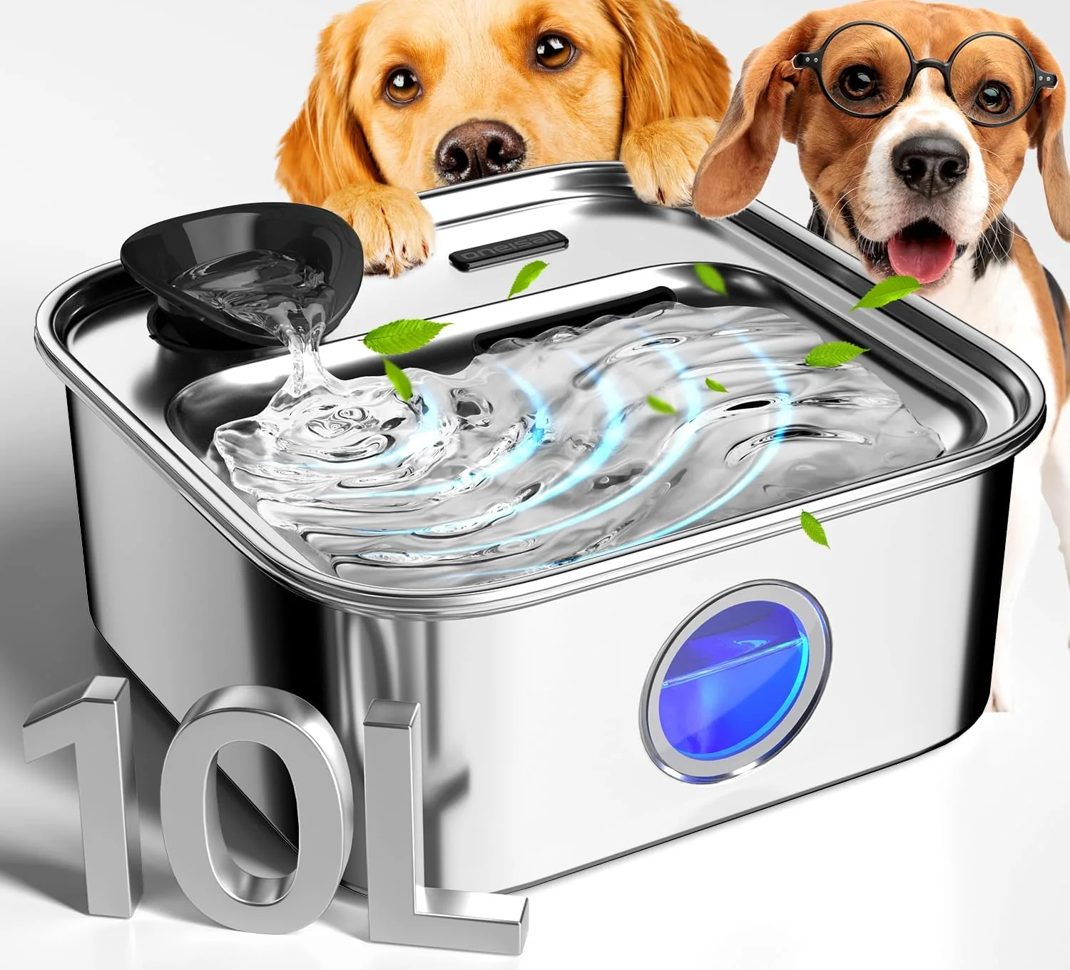 Best Dog Water Fountain (2026): 8 Picks, Plus How Long Each Tank Lasts