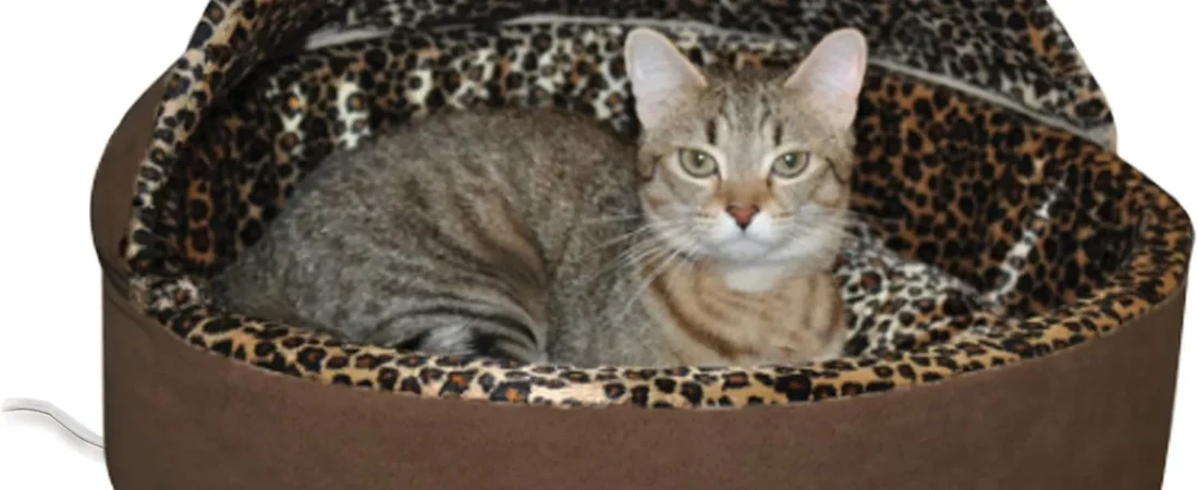 Best Heated Cat Bed (2026): 8 Picks, From Thermostatic to Self-Warming