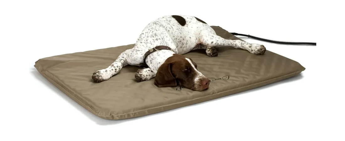 Best Heated Dog Bed (2026): 8 Heated Beds, Pads and Self-Warming Mats