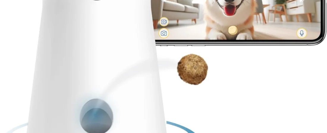 Best Pet Camera (2026): 8 Picks, Plus What Works Without a Subscription