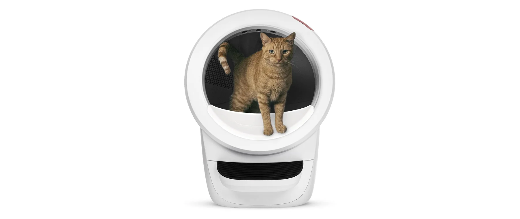 Best Self Cleaning Litter Box for Multiple Cats (2026): 5 Picks Compared